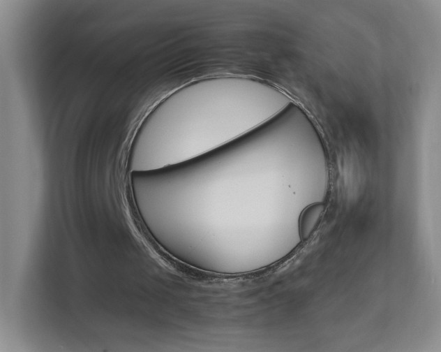 X0000113890049200909241150