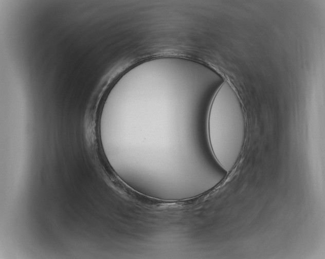 X0000113890050200909241150