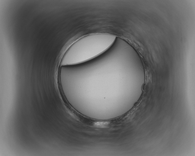 X0000113890051200909241150
