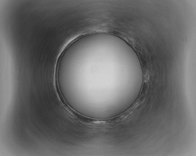 X0000113890052200909241150