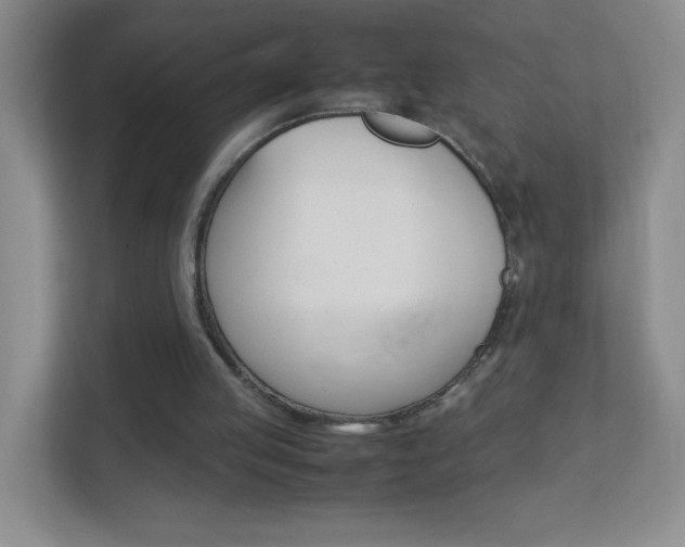 X0000113890053200909241150