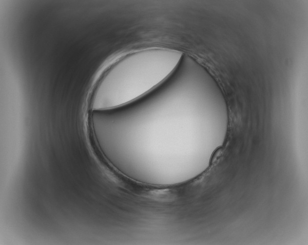 X0000113890054200909241150