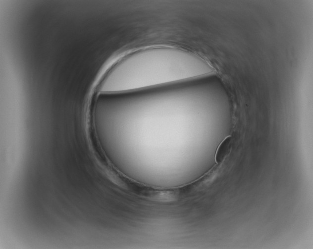 X0000113890056200909241150
