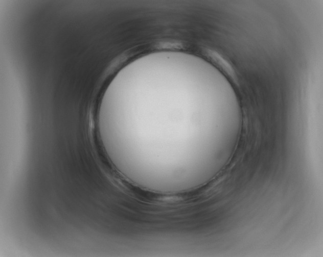 X0000113890059200909241150