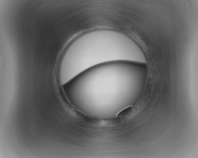 X0000113890060200909241150