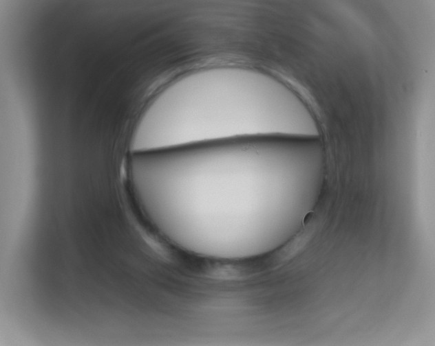 X0000113890062200909241150