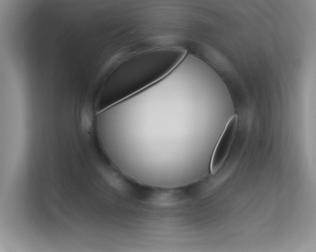 X0000113890072200909241151