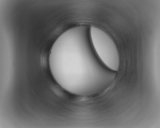 X0000113890074200909241151