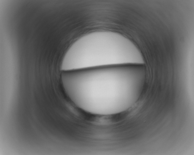 X0000113890078200909241151