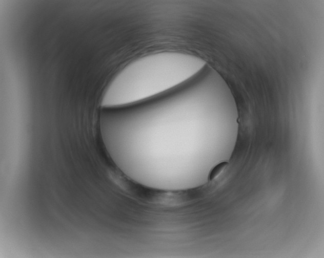 X0000113890082200909241151