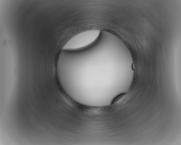 X0000113890086200909241151