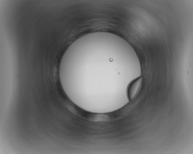 X0000113890087200909241151
