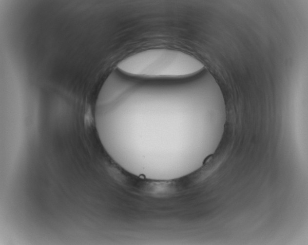X0000113890089200909241151