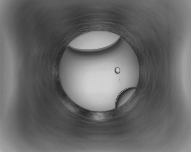 X0000113890091200909241151