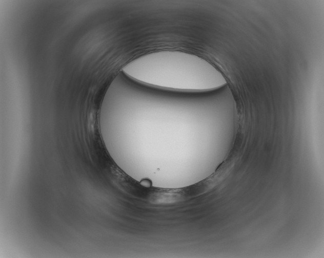 X0000113890093200909241151