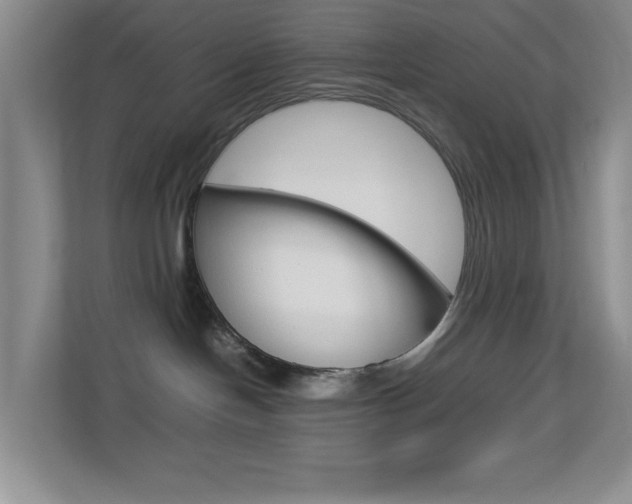 X0000113890094200909241151
