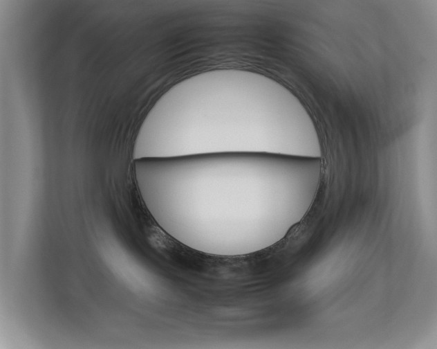 X0000113890095200909241151