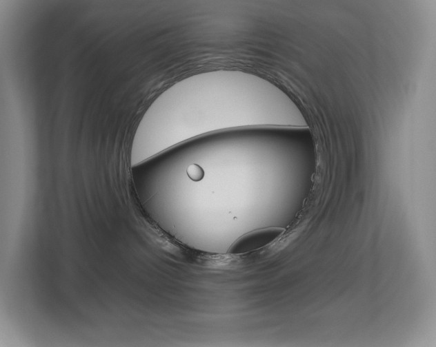 X0000113890096200909241151