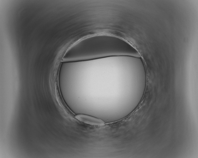 X0000113890097200909241150