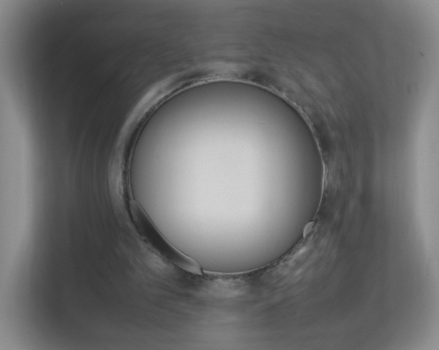 X0000113890101200909241150