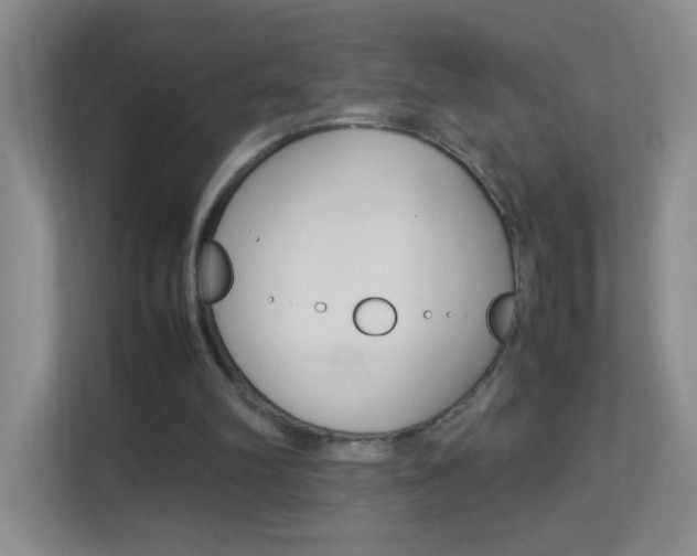 X0000113890102200909241150