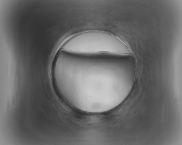 X0000113890103200909241150