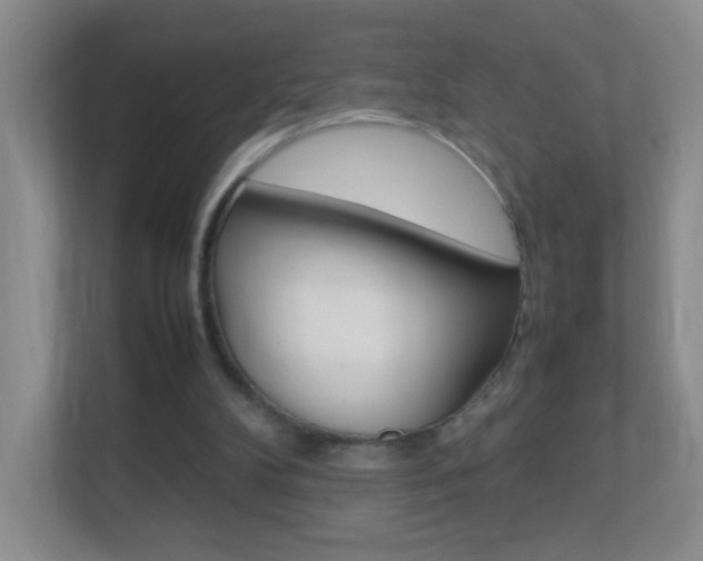 X0000113890104200909241150