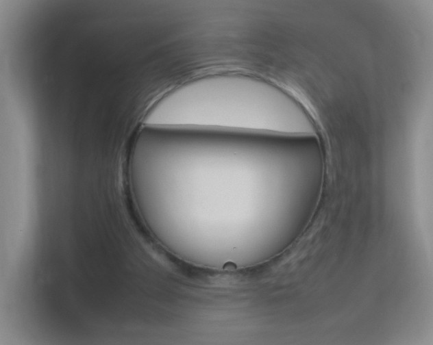 X0000113890105200909241150