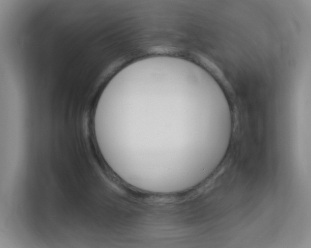 X0000113890106200909241150