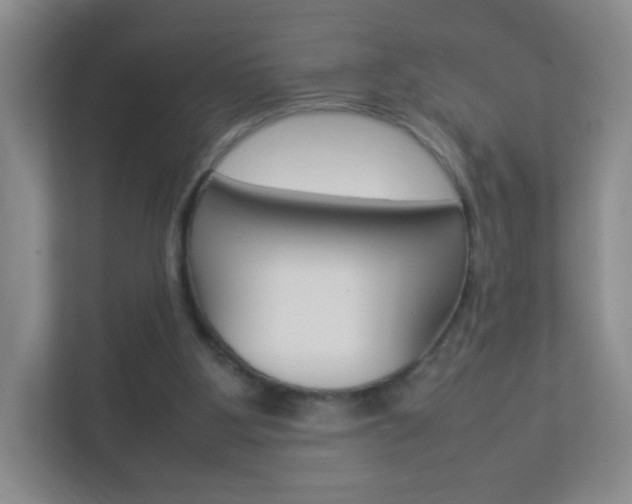 X0000113890107200909241150