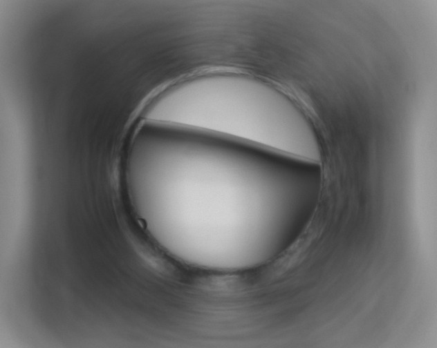 X0000113890108200909241150