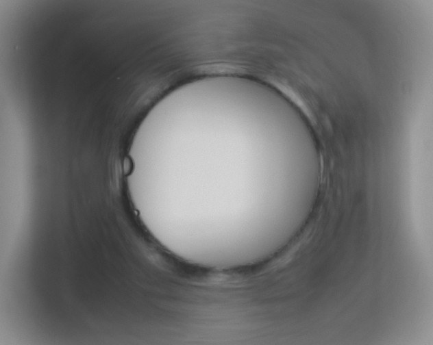 X0000113890109200909241150