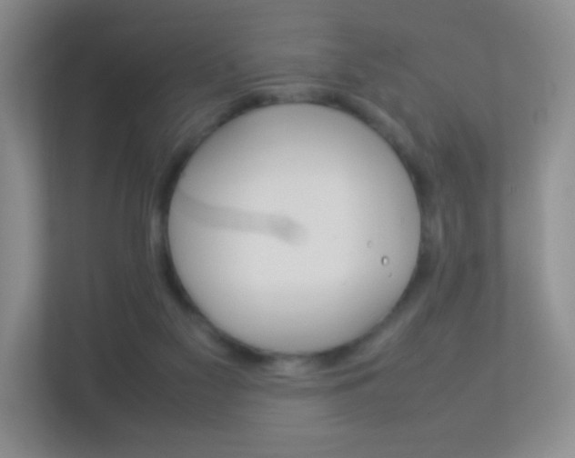 X0000113890117200909241150
