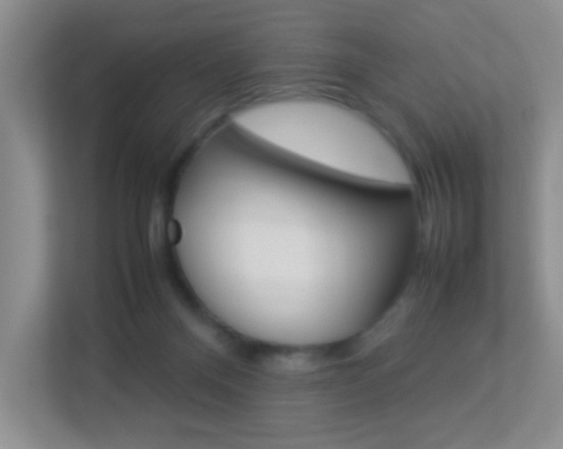 X0000113890120200909241150