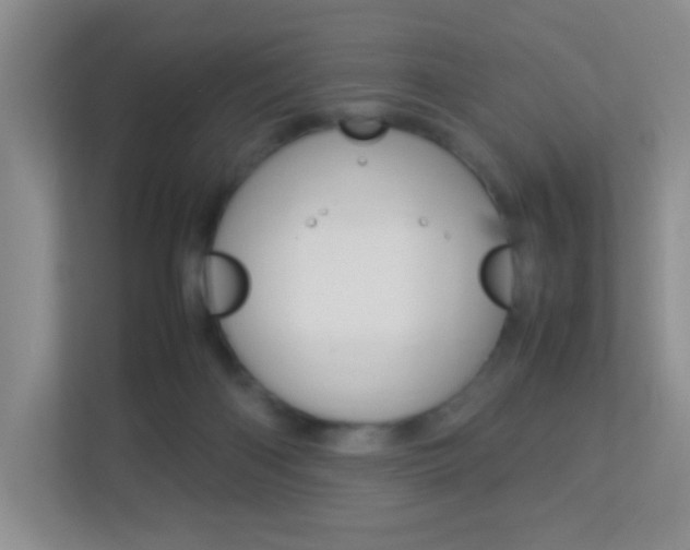 X0000113890122200909241150