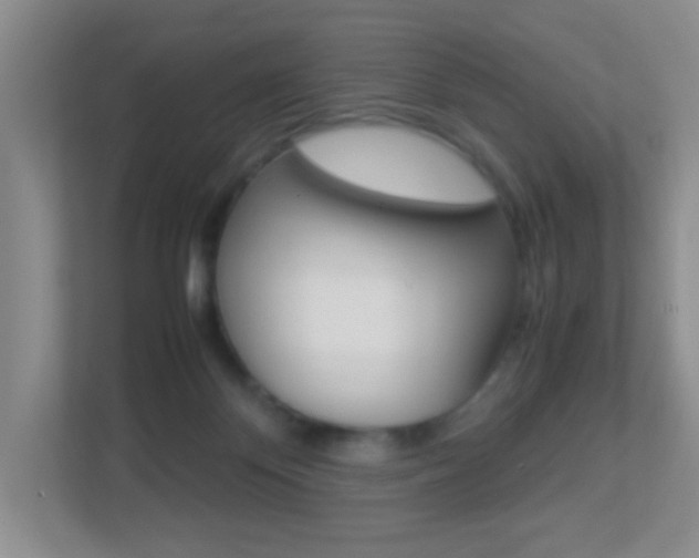 X0000113890124200909241150