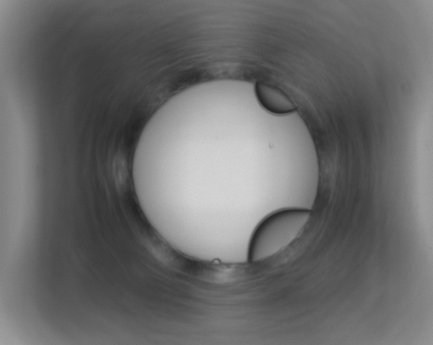 X0000113890130200909241150