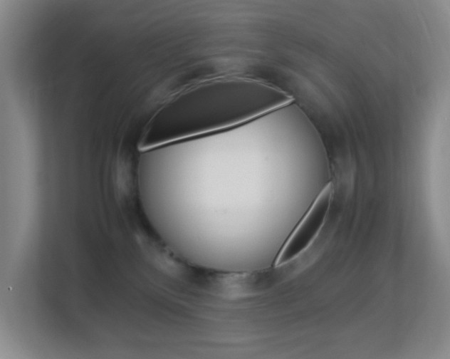X0000113890136200909241150