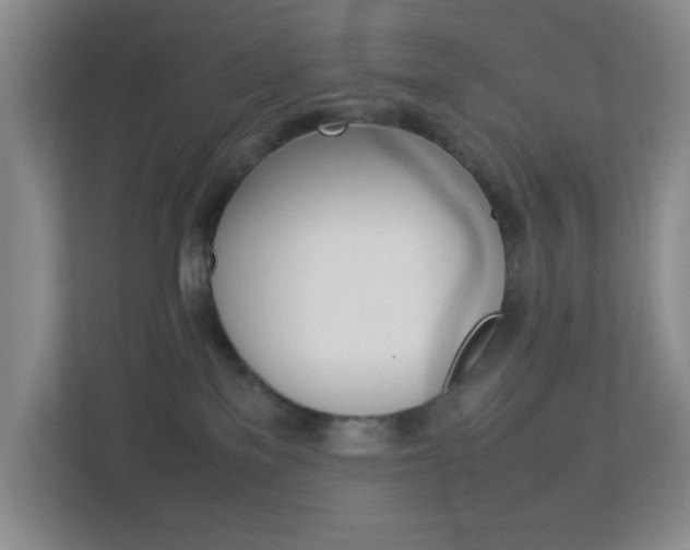 X0000113890137200909241150