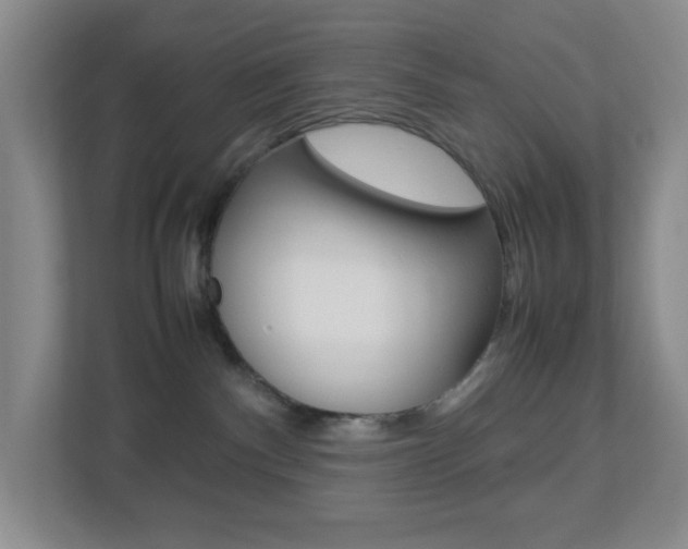 X0000113890140200909241150