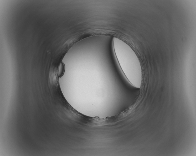 X0000113890143200909241150