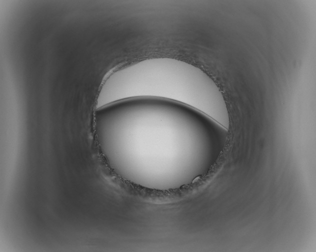 X0000113890144200909241150