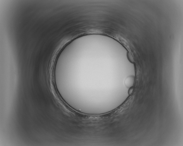 X0000113890145200909241149