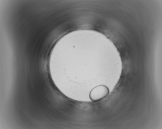X0000113890146200909241149