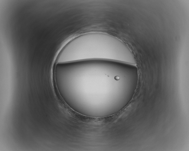 X0000113890148200909241149