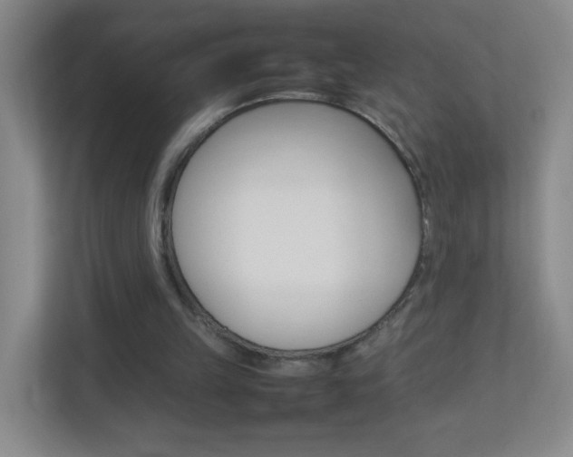 X0000113890149200909241149