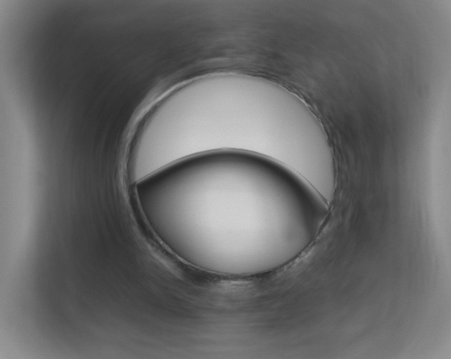 X0000113890150200909241149