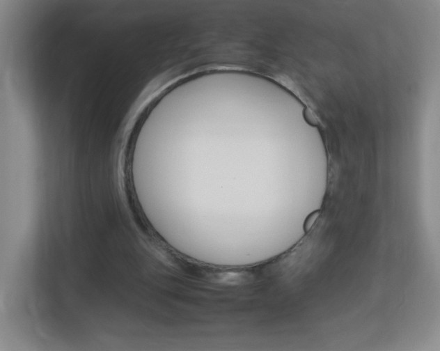 X0000113890151200909241149
