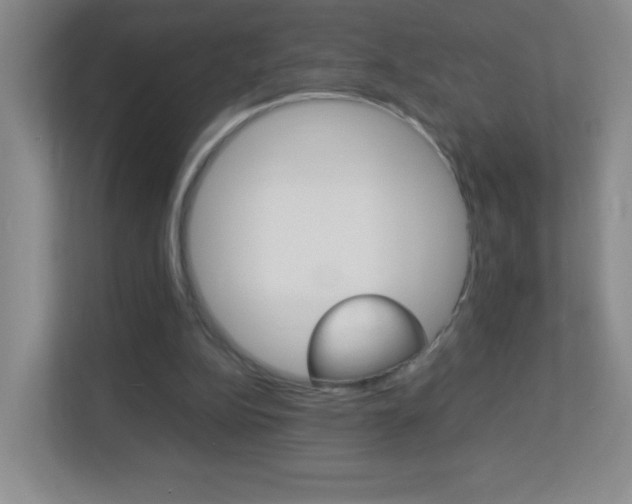 X0000113890152200909241149