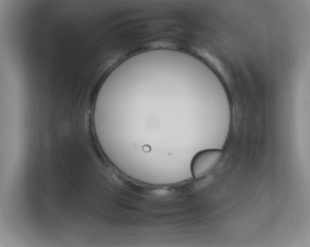 X0000113890153200909241149
